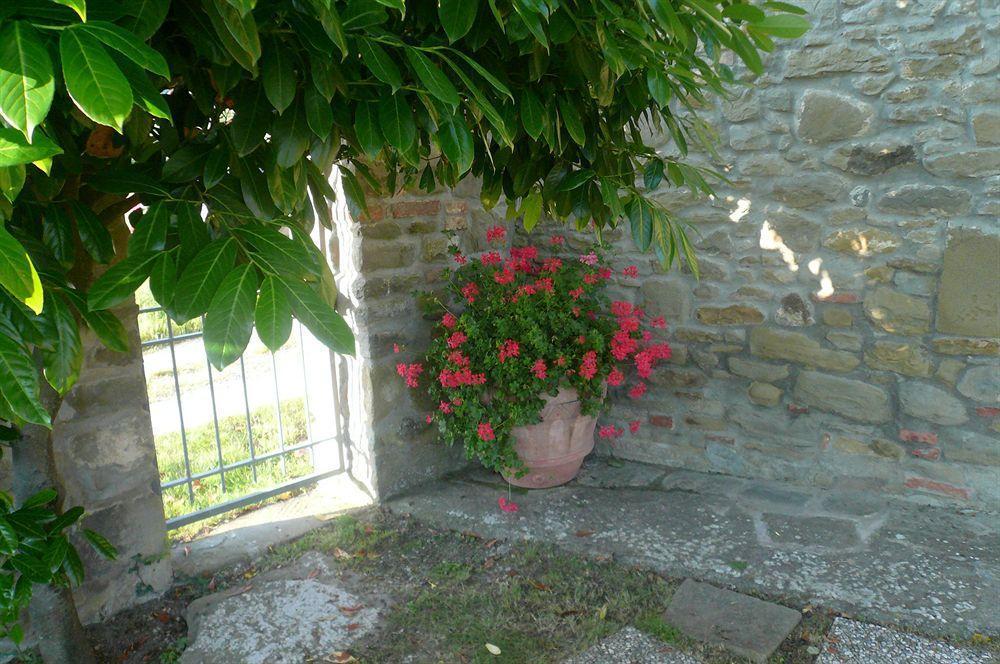 Apartamento Il Gelso Cortona Exterior foto