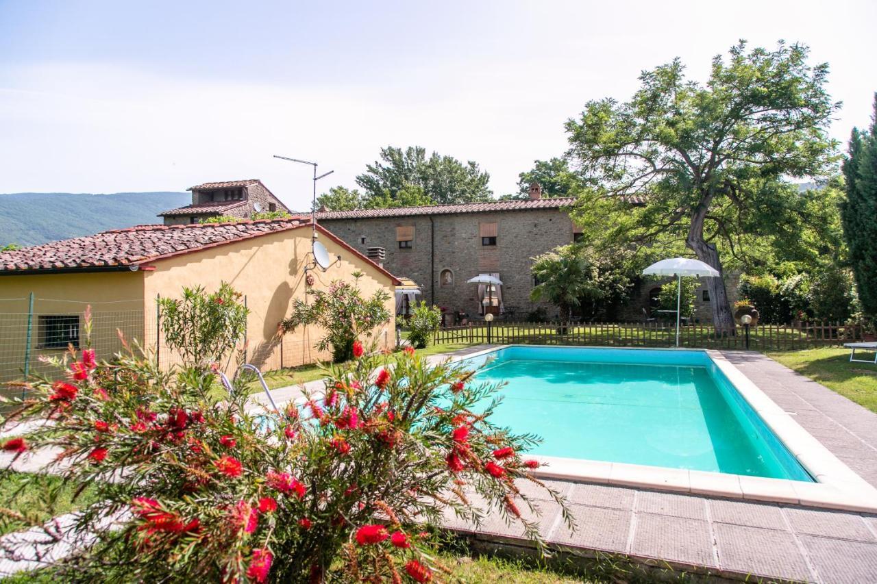 Apartamento Il Gelso Cortona Exterior foto